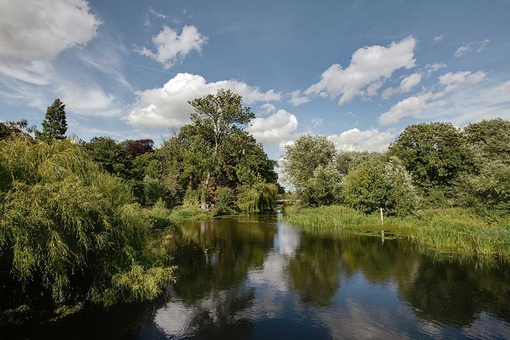 Grantchester Meadows