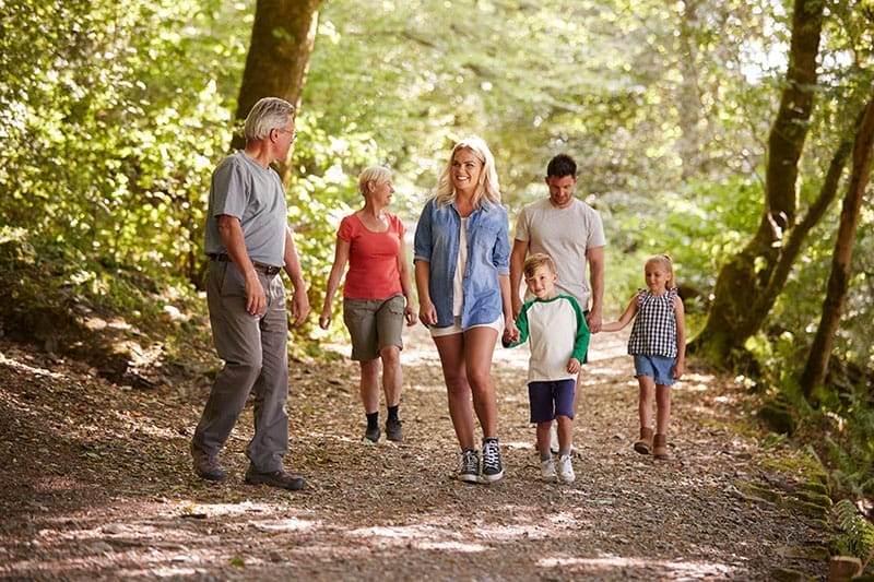 Family Walking In Woods