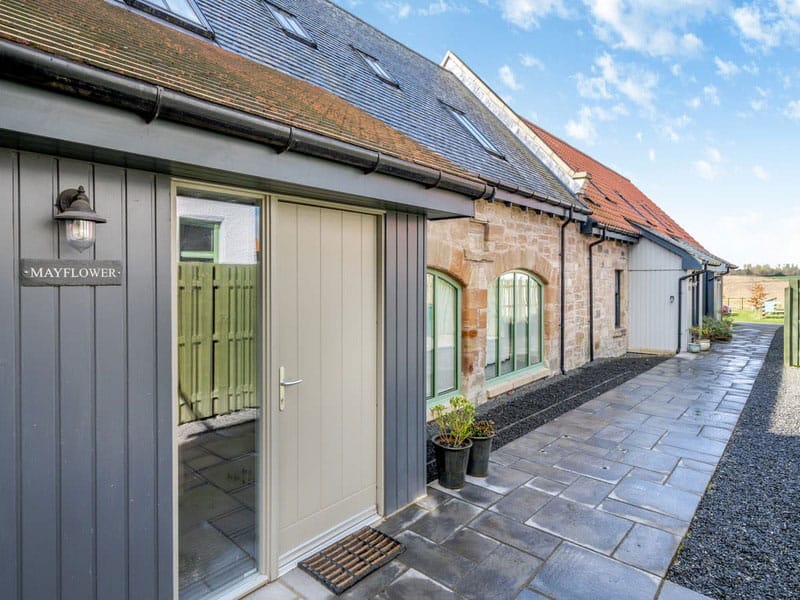 Mayflower - Paddockhall Farm, Linlithgow