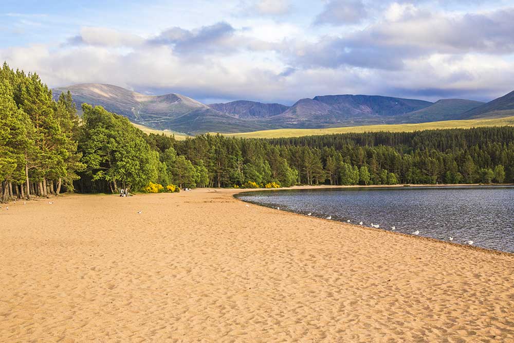 Loch Morlich