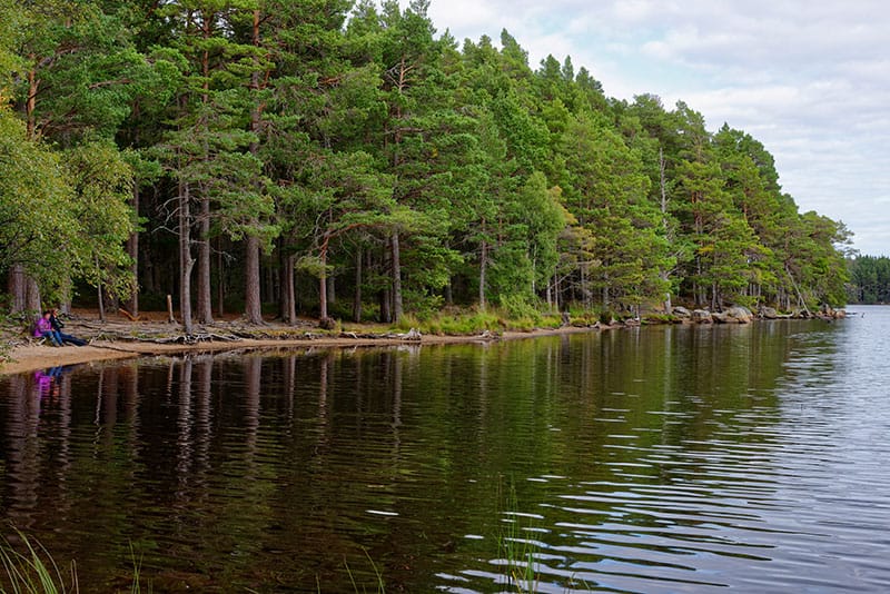 Loch Garten