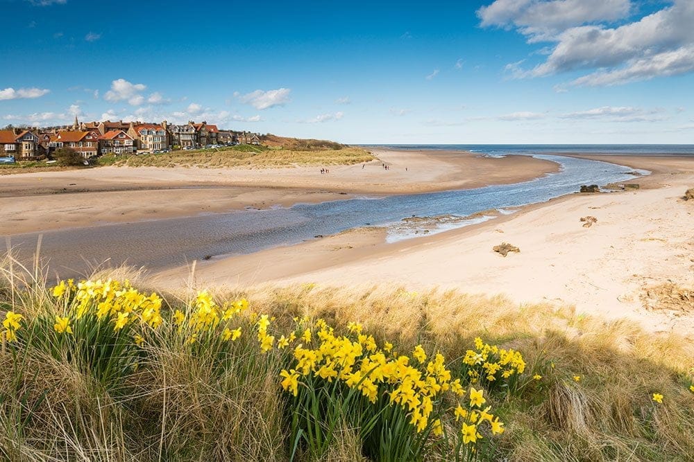 Alnmouth Beach, Northumberland