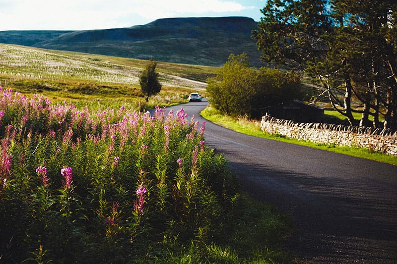 Scenic Road In Cumbria