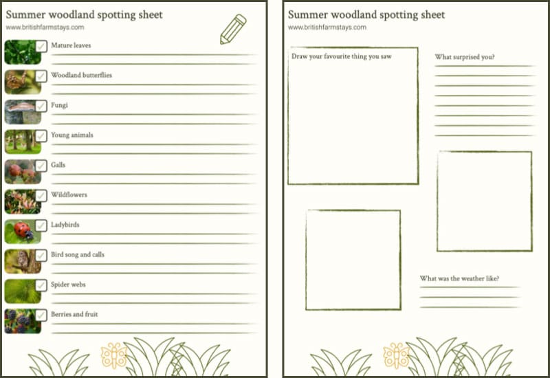 Summer Woodland Spotter Sheet
