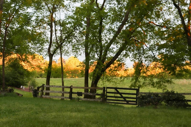 Farm Gate