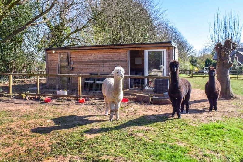 Alpaca Lodge, Bartington