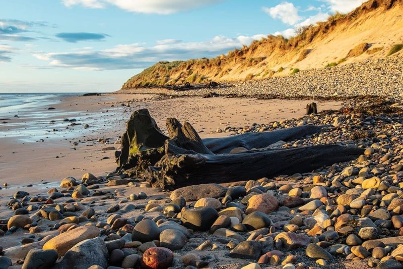 Amble Links Beach, Northumberland