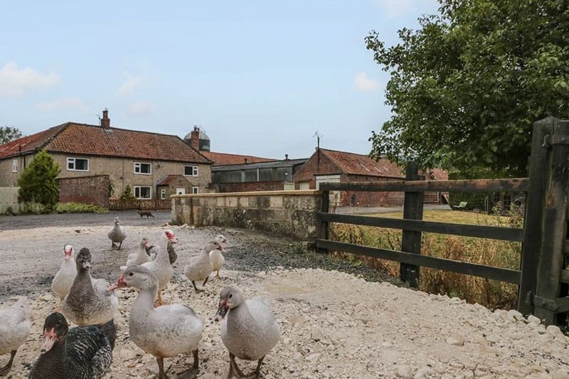 Bellmanear Farm Cottage, North Grimston