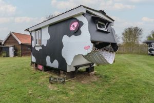 Betsy Cow Shed, Easton