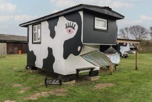 Bluebelle Cow Shed, Easton
