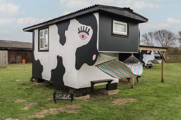 Bluebelle Cow Shed, Easton