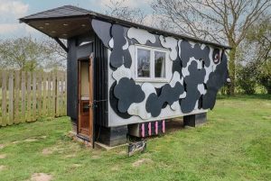 Buttercup Cow Shed, Easton