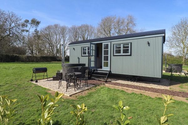 Buttercup, Ashby-Cum-Fenby