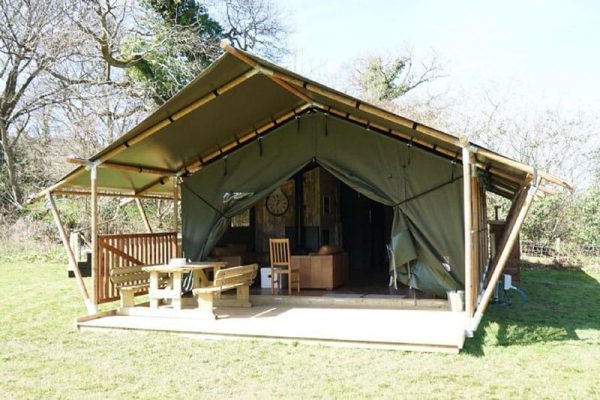 Buzzard, Talybont-On-Usk