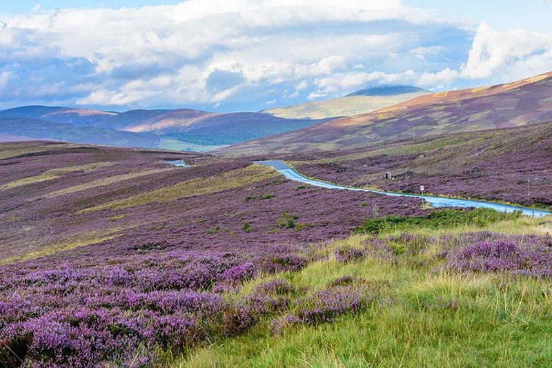 Cairngorms National Park