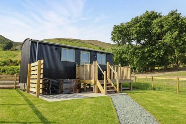 Cheviot, Moelfre