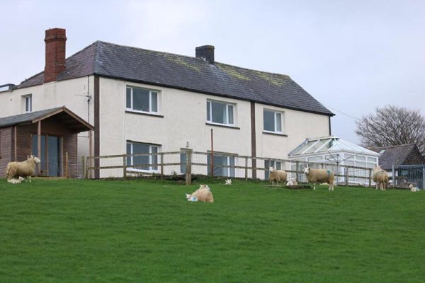 Cob Cottage, Llanddewi Brefi 