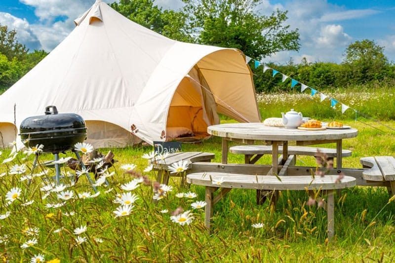 Cowslip At Bianca's Bell Tents, Ringstead