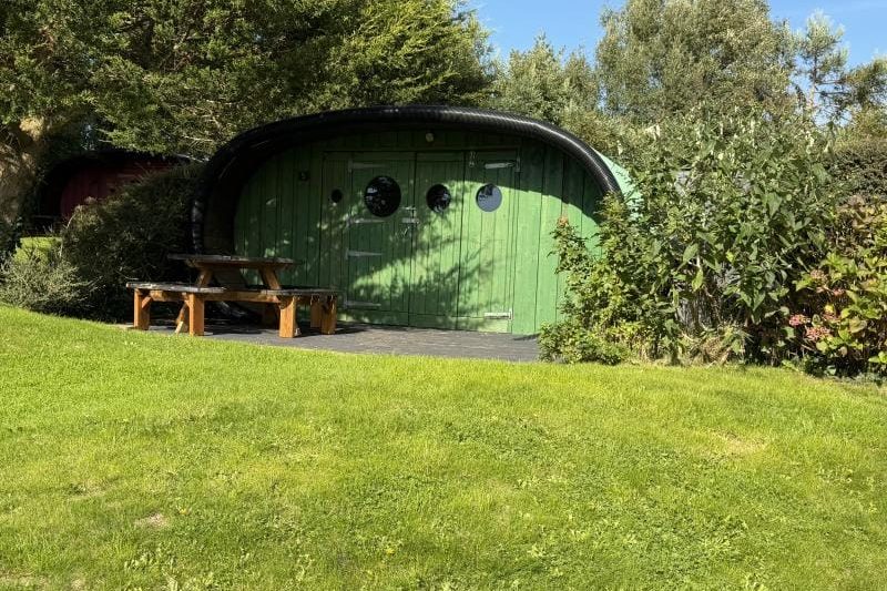 Curlew Pod, Bude