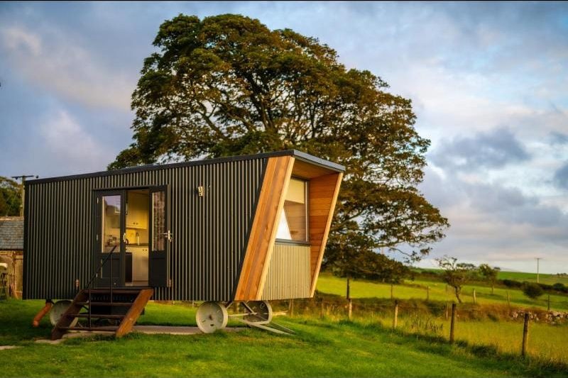 Daffodil Cabin, Ponsonby