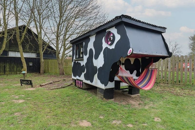 Daisy Cow Shed, Easton