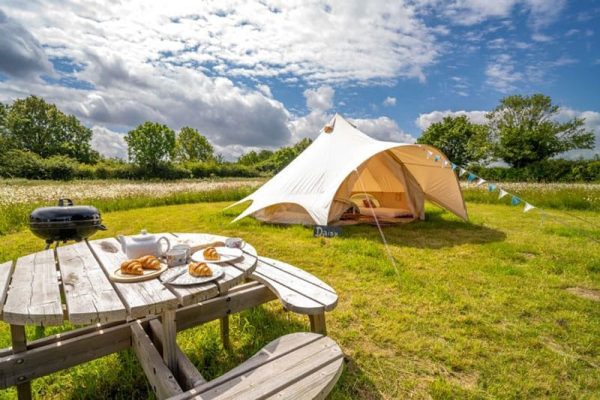 Daisy At Bianca's Bell Tents, Ringstead