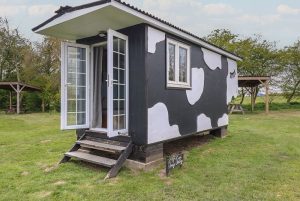 Dozy Dotty Cow Shed, Easton
