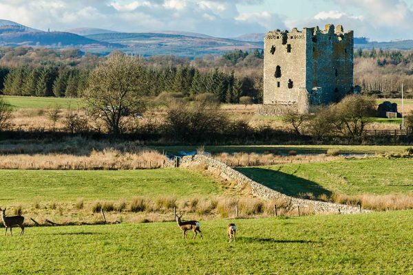 Dumfries And Galloway