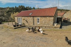 Erica's 'eaven, Farndale