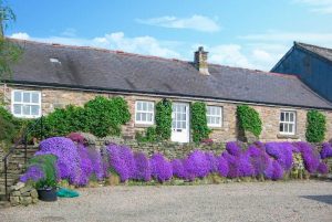 Felbrook Cottage - Gibb’s Hill Farm, Once Brewed