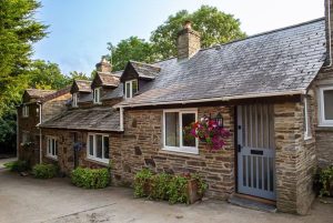 Freesia Cottage, Cardigan