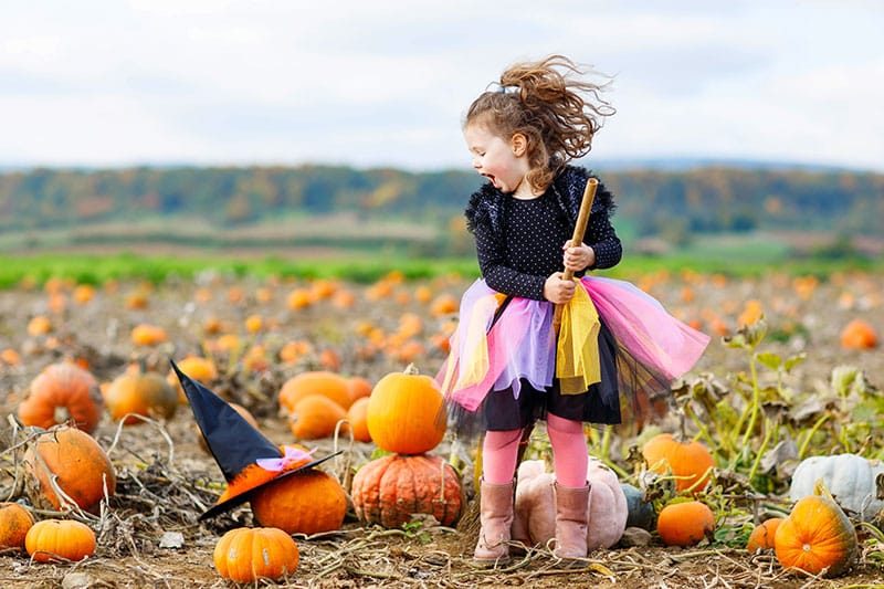 Little Girl In A Pumpkin Patch