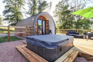Goose Pod, Clifton Upon Teme