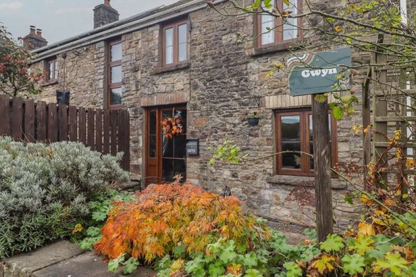Gwyn Studio, Aberdare