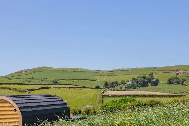 Holly, Ulverston