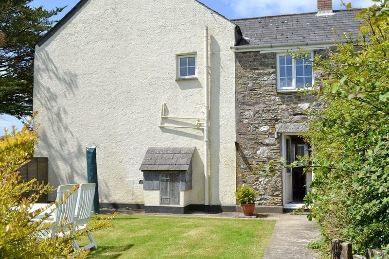 Holly - Trecan Farm, Lanreath