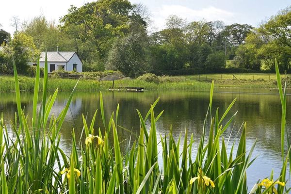 Latchygors Cottage, Whitland