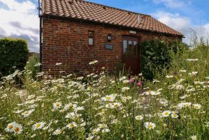 Lovesome Cottage, Northallerton