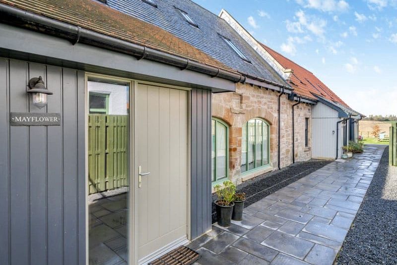 Mayflower - Paddockhall Farm, Linlithgow
