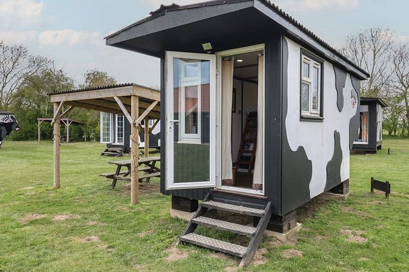 Molly Cow Shed, Easton