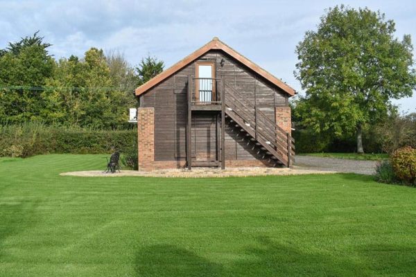 Moorhens - Chilsham Farm, Herstmonceux