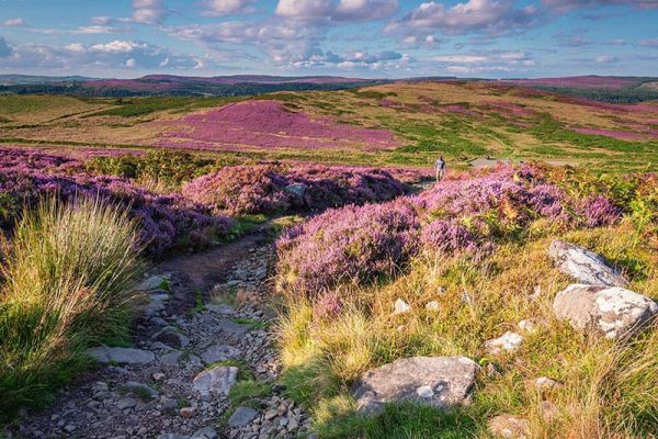Northumberland National Park