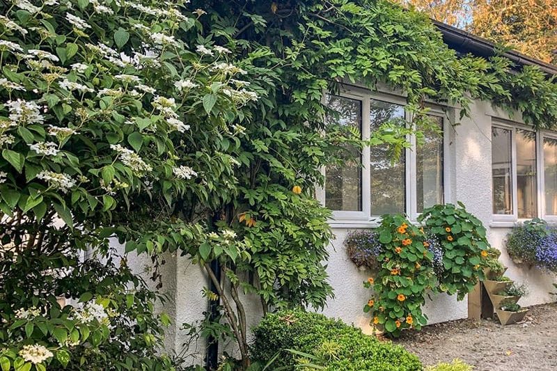 Primrose End, Jacobstow