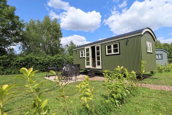Primrose, Ashby-Cum-Fenby