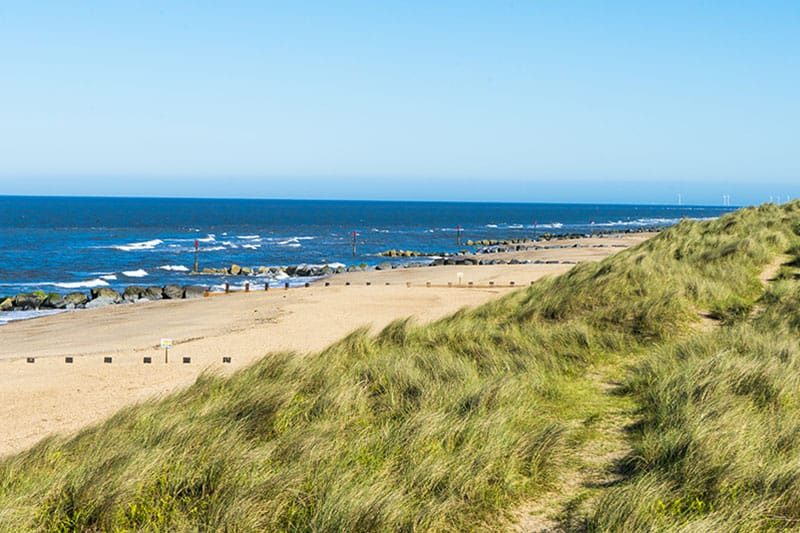 Beach With Sand Dunes