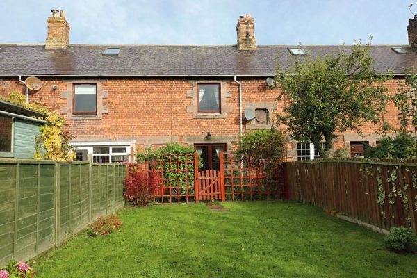 Sea Lily, New Haggerston