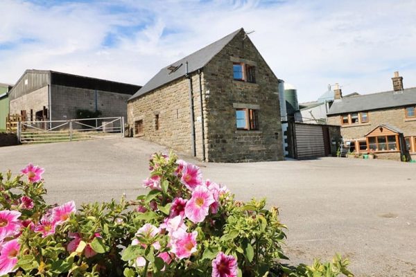 Shire Cottage At Top Butterley Farm, Tansley