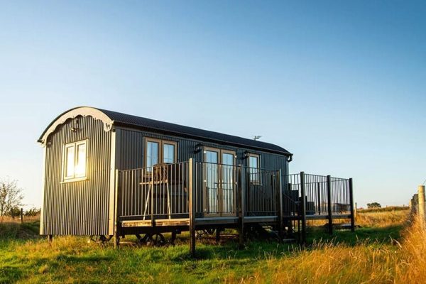 Skylark Shepherd's Hut, Llandeilo