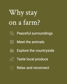 Stay On A Farm