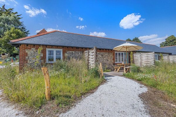 Swallow - Woodsell Farm, Faversham